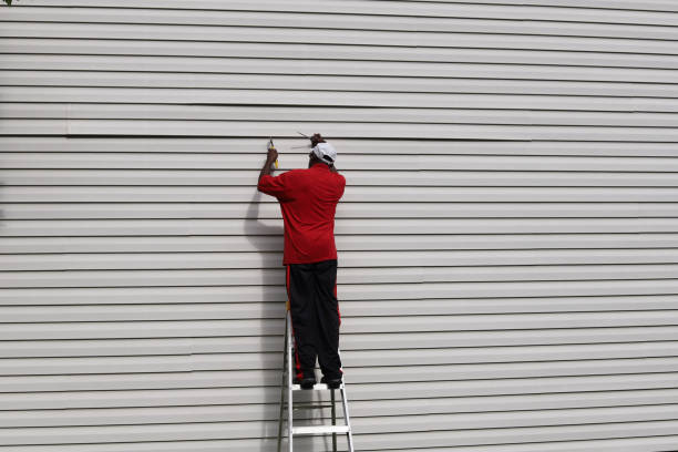 Best Siding Painting and Refinishing  in , AR